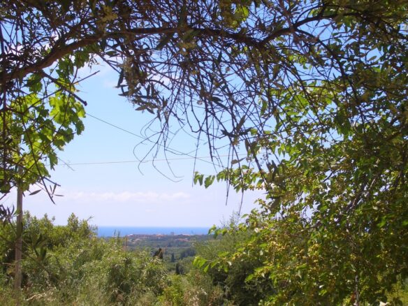 Plot Of 1281.95 M² In Pisaski, Near Koryfasio, Messinia South Peloponnese, Greece
