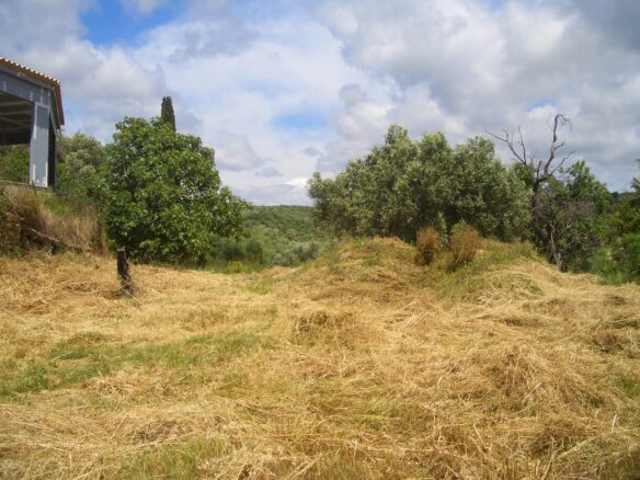 Plot Of 1281.95 M² In Pisaski, Near Koryfasio, Messinia South Peloponnese, Greece