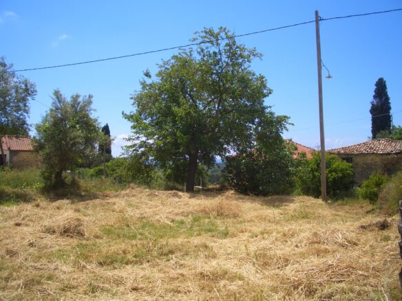 Plot Of 1281.95 M² In Pisaski, Near Koryfasio, Messinia South Peloponnese, Greece