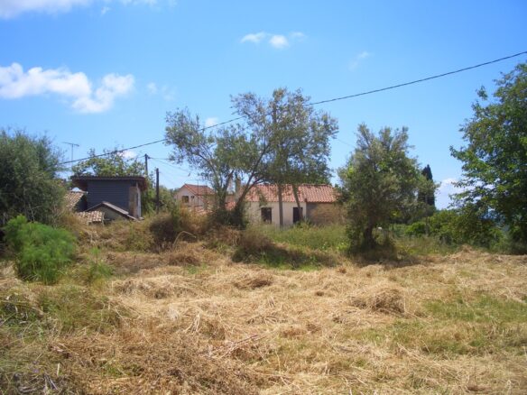 Plot Of 1281.95 M² In Pisaski, Near Koryfasio, Messinia South Peloponnese, Greece
