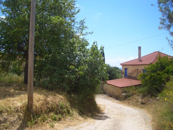 Plot Of 1281.95 M² In Pisaski, Near Koryfasio, Messinia South Peloponnese, Greece