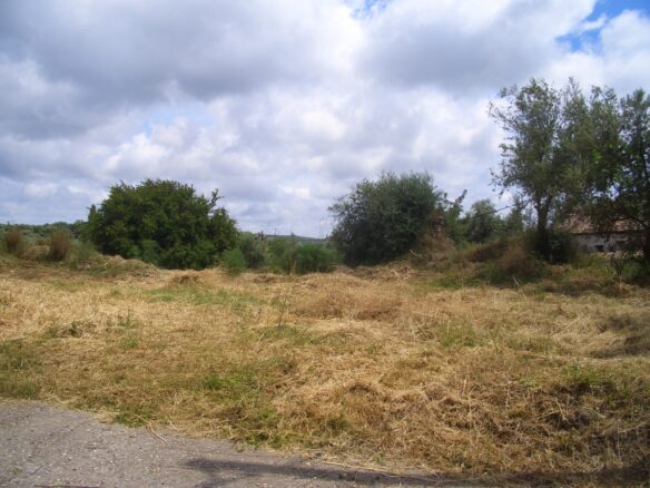 Plot Of 1281.95 M² In Pisaski, Near Koryfasio, Messinia South Peloponnese, Greece