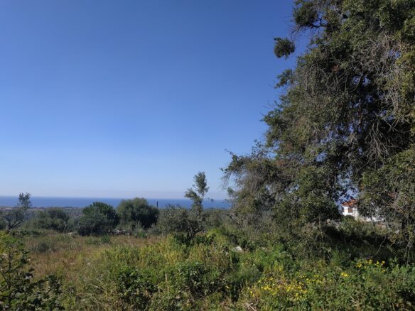 Plot Of 3,135.83 Sqm In Tragana, Messinia, South Peloponnese, Greece