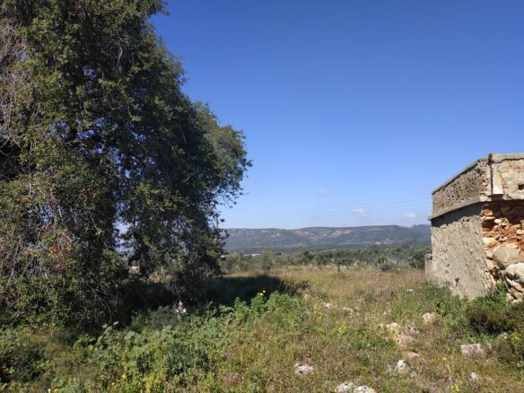 Plot Of 3,135.83 Sqm In Tragana, Messinia, South Peloponnese, Greece