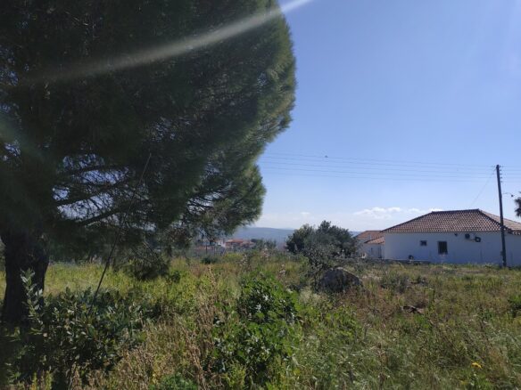 Plot Of 3,135.83 Sqm In Tragana, Messinia, South Peloponnese, Greece