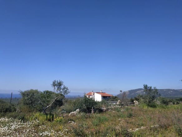 Plot Of 3,135.83 Sqm In Tragana, Messinia, South Peloponnese, Greece