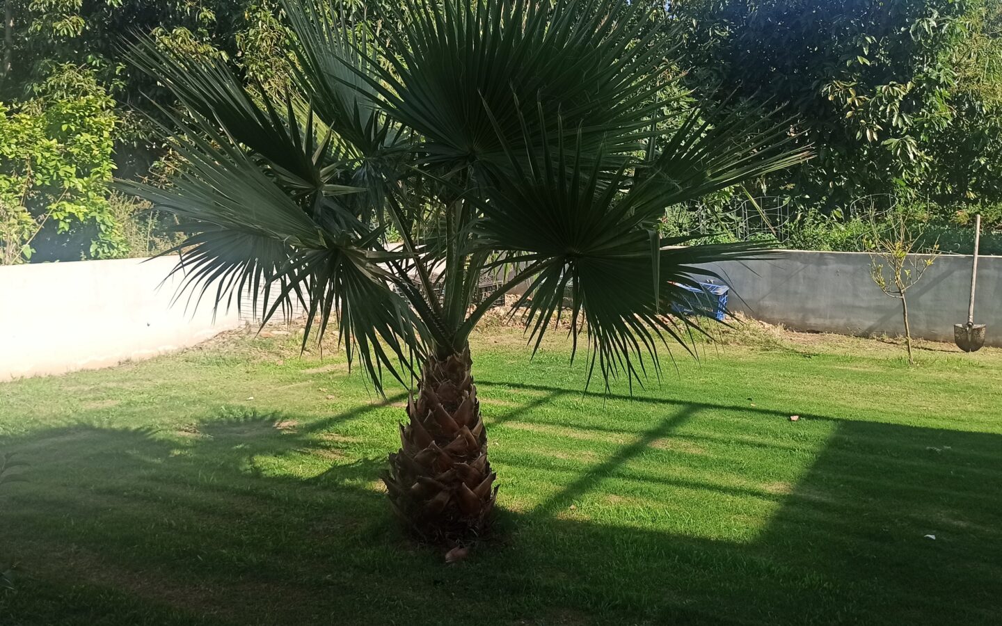 Detached House Of 216 M² In Chania, Crete
