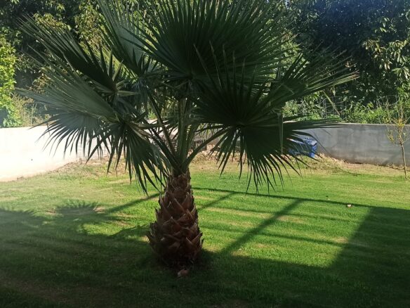 Detached House Of 216 M² In Chania, Crete