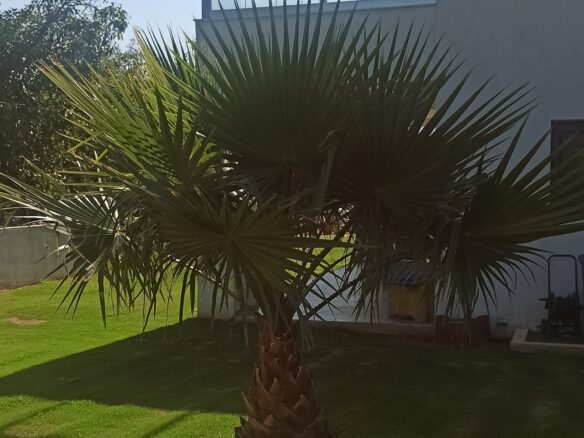 Detached House Of 216 M² In Chania, Crete