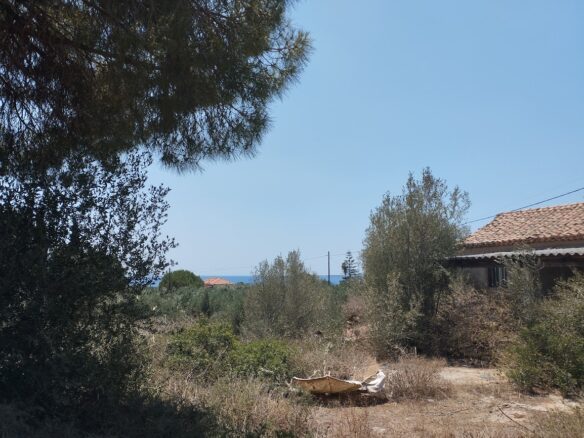 Land Plot Of 9,000 M² With Proximity To Marathopoli In Messinia, South Peloponnese, Greece