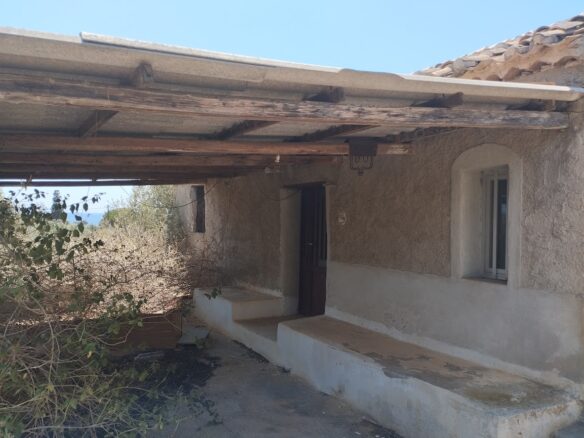 Land Plot Of 9,000 M² With Proximity To Marathopoli In Messinia, South Peloponnese, Greece
