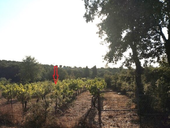 Land Plot Of 550 M² With Residential Zoning In Glyfada, Messinia, South Peloponnese, Greece