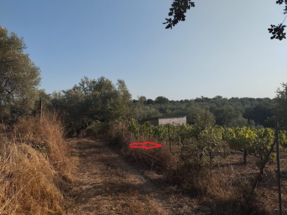 Land Plot Of 550 M² With Residential Zoning In Glyfada, Messinia, South Peloponnese, Greece