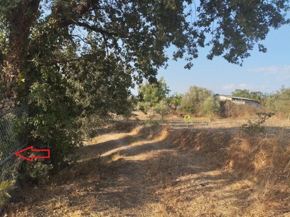 Land Plot Of 550 M² With Residential Zoning In Glyfada, Messinia, South Peloponnese, Greece