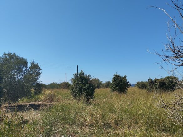 Land Plot Of 7500 M² With Development Potential In Gialova, Messenia, Peloponnese, Greece
