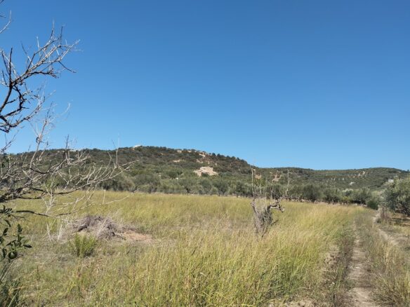 Land Plot Of 7500 M² With Development Potential In Gialova, Messenia, Peloponnese, Greece