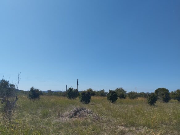 Land Plot Of 7500 M² With Development Potential In Gialova, Messenia, Peloponnese, Greece