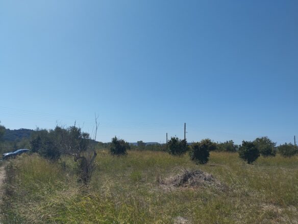 Land Plot Of 7500 M² With Development Potential In Gialova, Messenia, Peloponnese, Greece