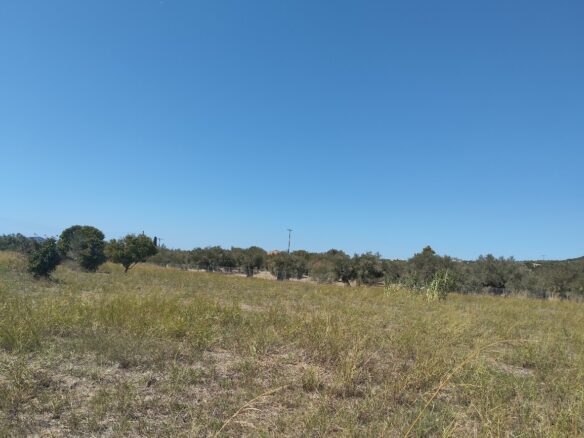 Land Plot Of 7500 M² With Development Potential In Gialova, Messenia, Peloponnese, Greece