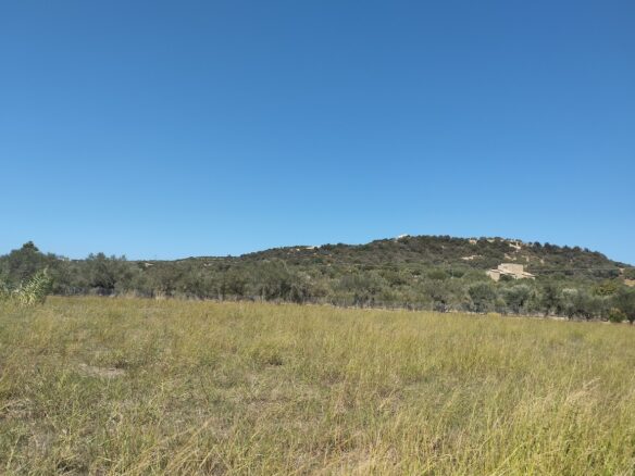 Land Plot Of 7500 M² With Development Potential In Gialova, Messenia, Peloponnese, Greece