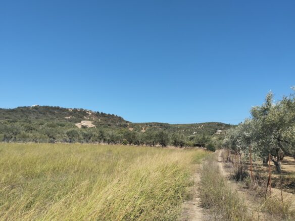 Land Plot Of 7500 M² With Development Potential In Gialova, Messenia, Peloponnese, Greece