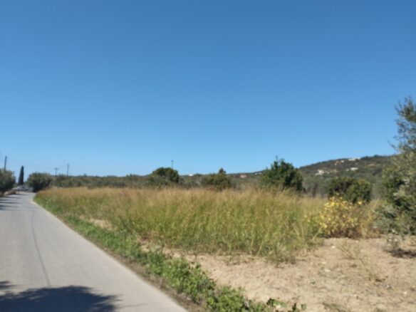 Land Plot Of 7500 M² With Development Potential In Gialova, Messenia, Peloponnese, Greece