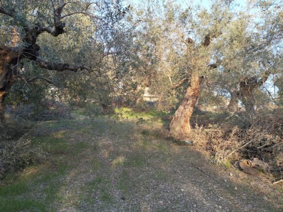 Land Plot Of 1,514.87 Sq.m. Located Within The Settlement Of Koryfasio, Messinia South Peloponnes Greece