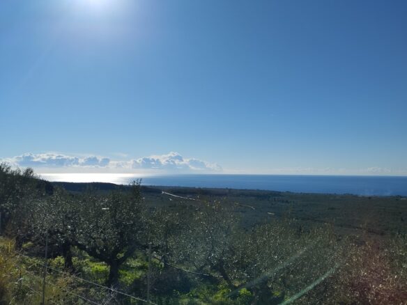 Land Plot Of 4200 M² In Gargalianoi, Messinia