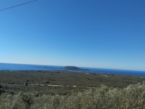 Land Plot Of 8,400 M² With A Garden In Gargalianoi, Messinia