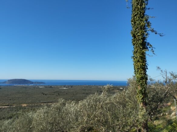 Land Plot Of 12,600 M² With Southern Peloponnese Location In Gargalianoi, Messinia