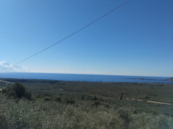 Land Plot Of 8,400 M² With A Garden In Gargalianoi, Messinia