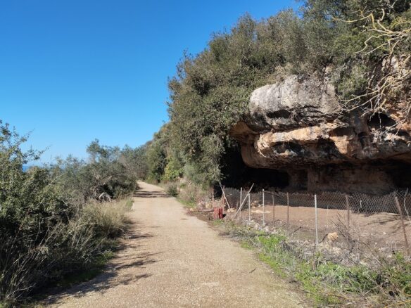 Land Plot Of 8,400 M² With A Garden In Gargalianoi, Messinia