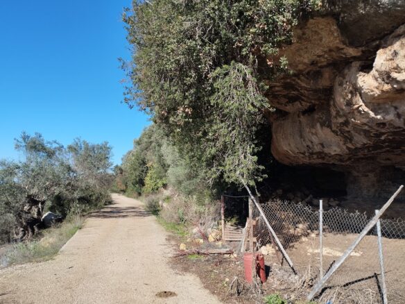 Land Plot Of 8,400 M² With A Garden In Gargalianoi, Messinia