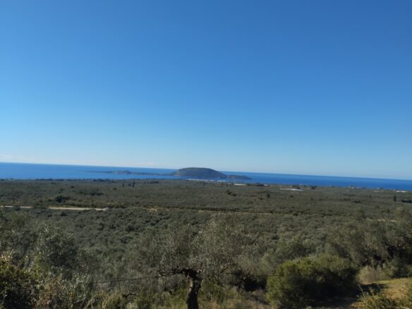 Land Plot Of 4200 M² In Gargalianoi, Messinia