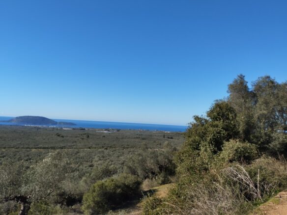 Land Plot Of 8,400 M² With A Garden In Gargalianoi, Messinia