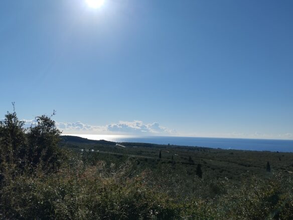 Land Plot Of 12,600 M² With Southern Peloponnese Location In Gargalianoi, Messinia