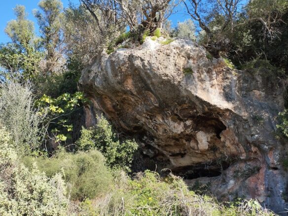 Land Plot Of 12,600 M² With Southern Peloponnese Location In Gargalianoi, Messinia