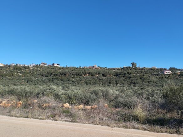 Land Plot Of 12,600 M² With Southern Peloponnese Location In Gargalianoi, Messinia