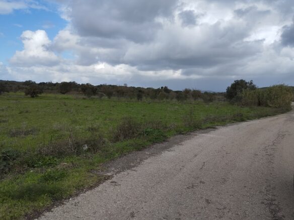 Land Plot Of 3,000 Sq.m. Located In The Village Of Kynigos South Peloponnes Greece