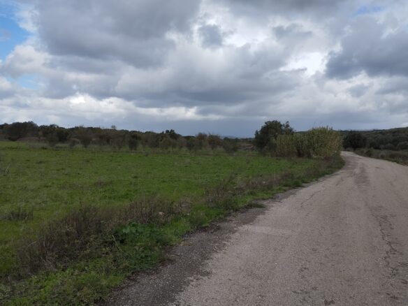 Land Plot Of 3,000 Sq.m. Located In The Village Of Kynigos South Peloponnes Greece