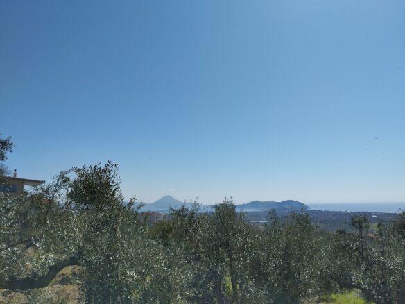 Land Of 20000 M² In Tragana Messinia, South Peloponnese, Greece
