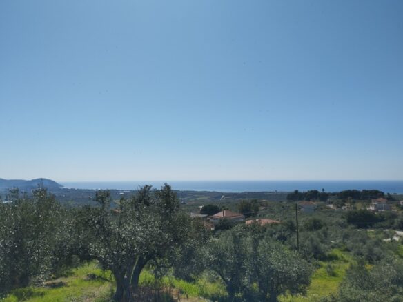 Land Of 20000 M² In Tragana Messinia, South Peloponnese, Greece