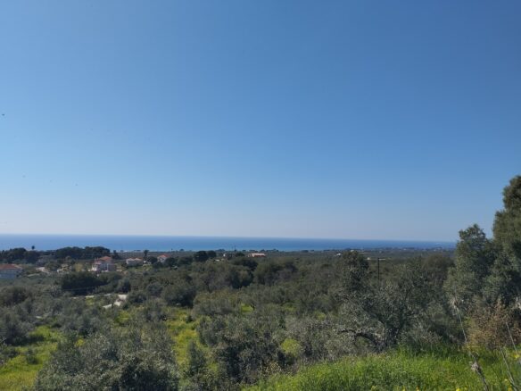 Land Of 20000 M² In Tragana Messinia, South Peloponnese, Greece