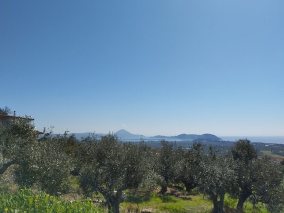 Land Of 20000 M² In Tragana Messinia, South Peloponnese, Greece
