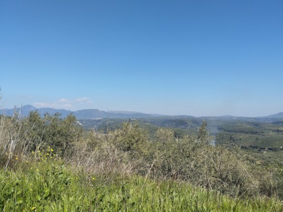 Land Of 20000 M² In Tragana Messinia, South Peloponnese, Greece
