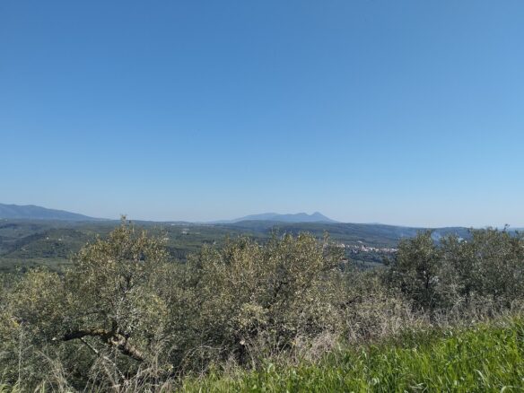 Land Of 20000 M² In Tragana Messinia, South Peloponnese, Greece