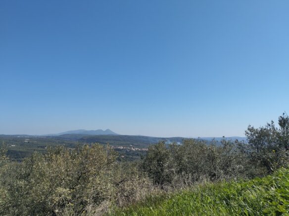 Land Of 20000 M² In Tragana Messinia, South Peloponnese, Greece