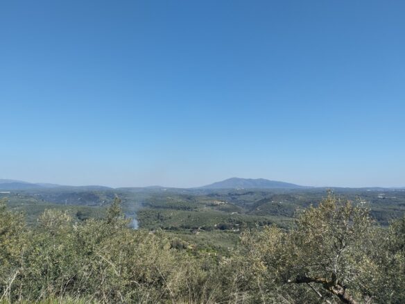 Land Of 20000 M² In Tragana Messinia, South Peloponnese, Greece