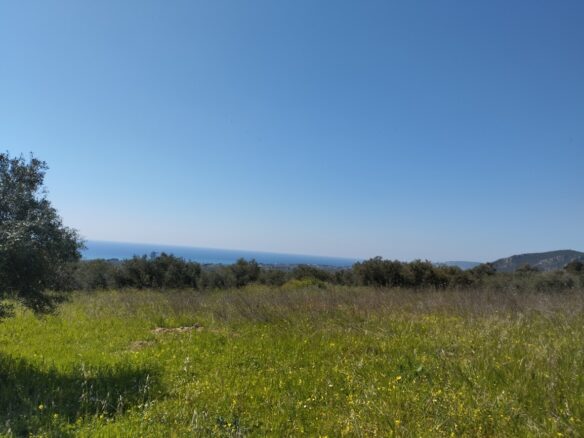 Land Of 20000 M² In Tragana Messinia, South Peloponnese, Greece
