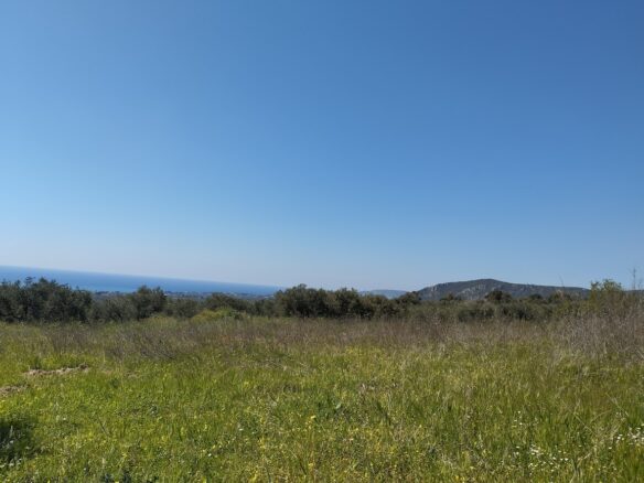 Land Of 20000 M² In Tragana Messinia, South Peloponnese, Greece